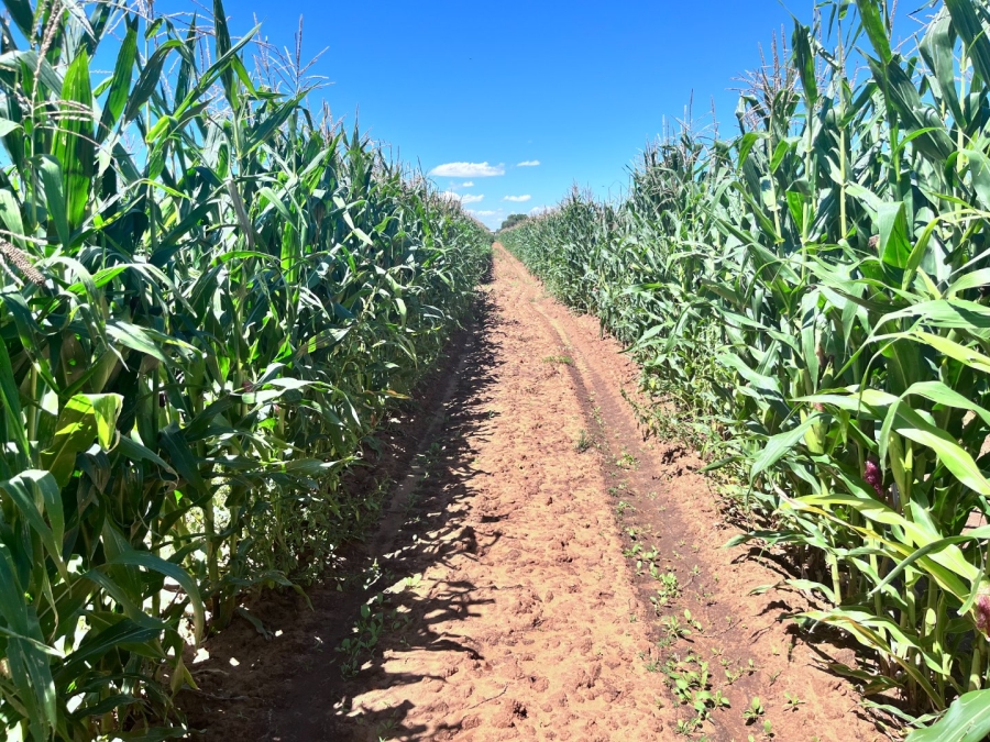 Commercial Property for Sale in Oranje SH Free State